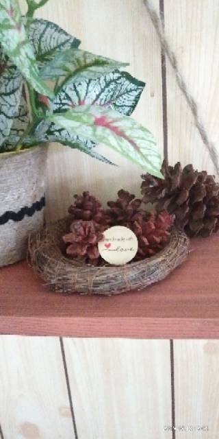 Birdnest Sarang Burung Daun Pinus Dekorasi Rustic mahar cincin 11 cm