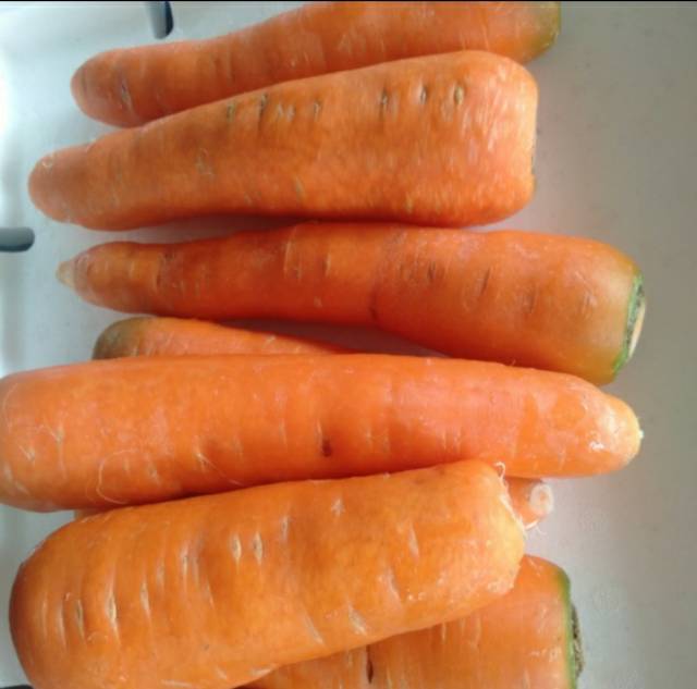 

Wortel berastagi kualitas super 1 kg