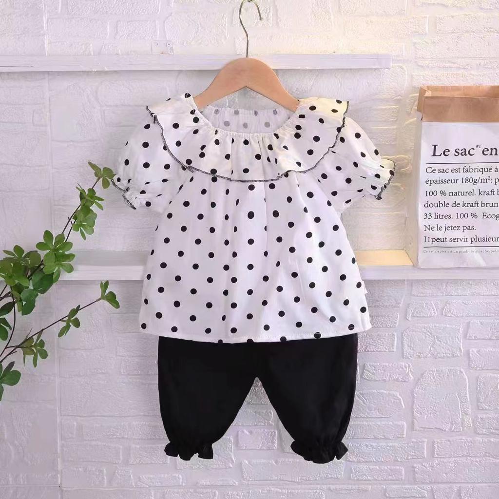 ASLI IMPORT Kemeja girl CUTIE DOTS / Carotine CACTUS / FLOLINDA Angsa Emas Jumper Fashion Anak Bayi Perempuan Cewek Terbaru Termurah Terlaris Babeebabyshop Lucu