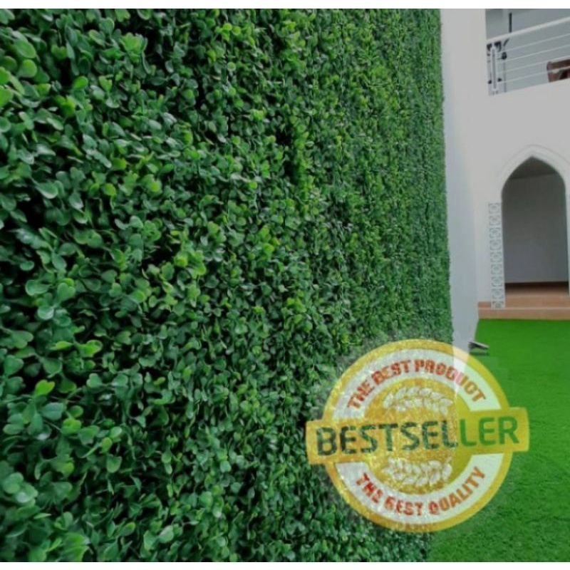 tanaman rambat dolar sintetis / pohon dolar rambat sintetis