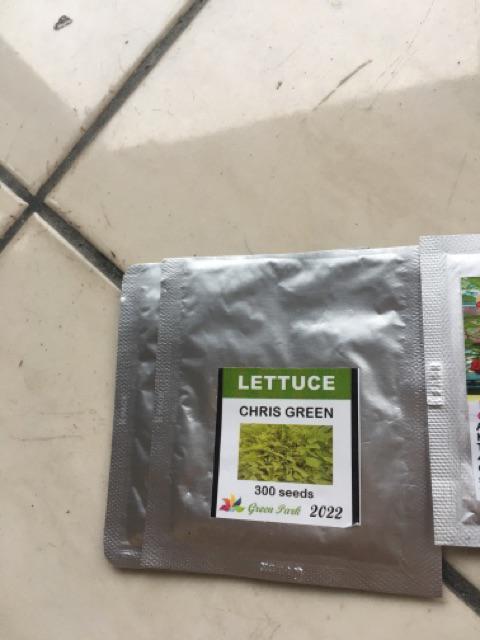 Benih Biji Selada Hijau Chris Green Pack - 300 Biji - Gp