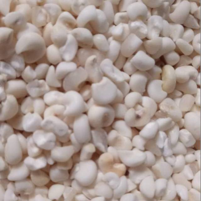 

Jagung Putih/Bassang