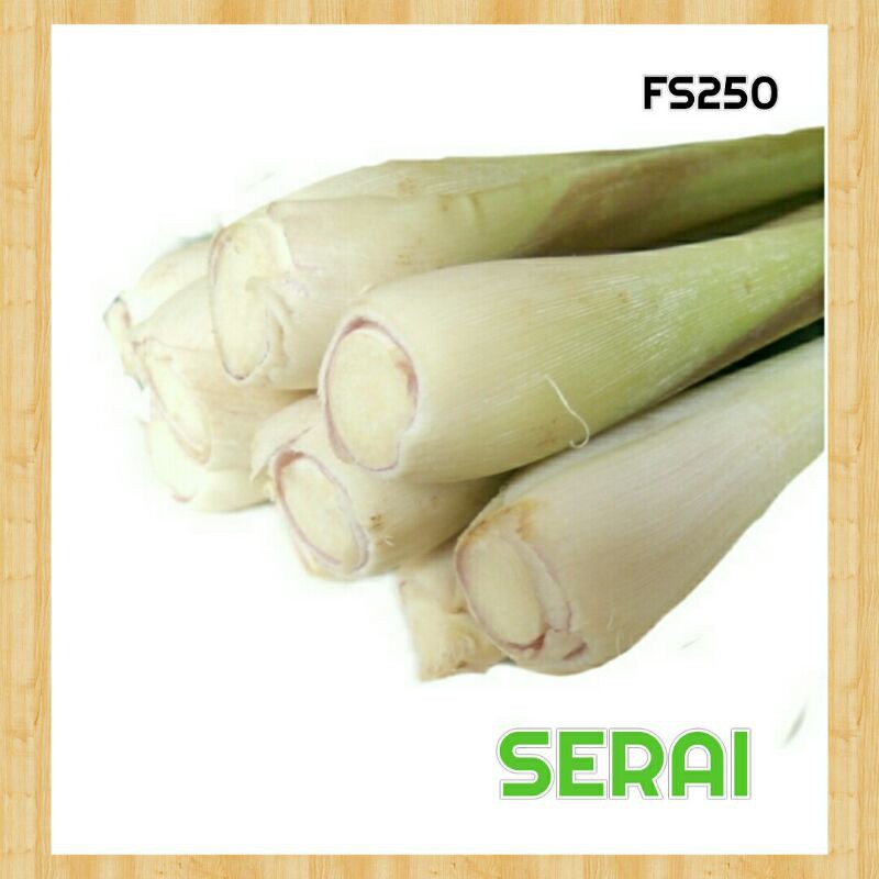 

serai/sereh segar alami 250 gram
