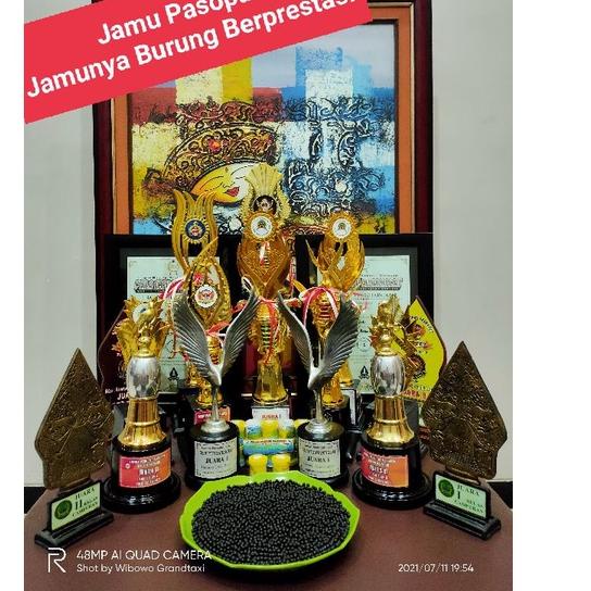 Sangat Nyaman.. JAMU PERKUTUT PASOPATI EVOLUTION 7 (EVO 7) VARIAN ISI 35 BUTIR