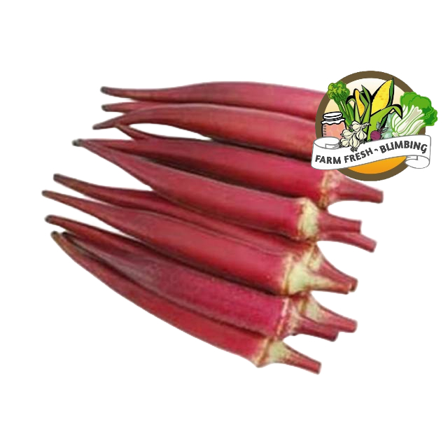 

Sayur Okra Merah Fresh / Red Lady Finger 250 gram