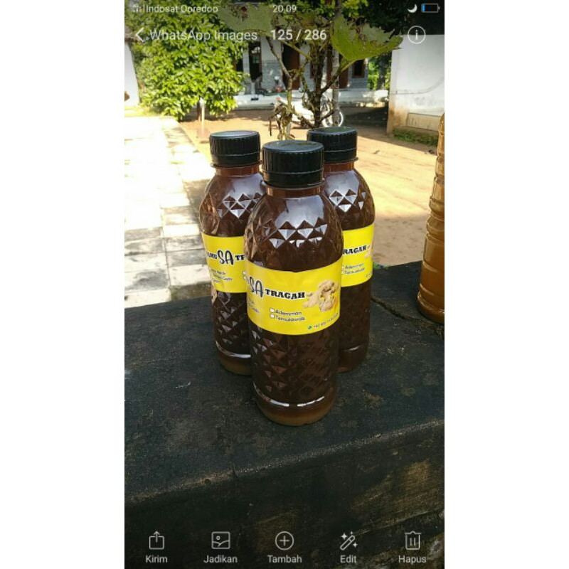 

jamu asli madura