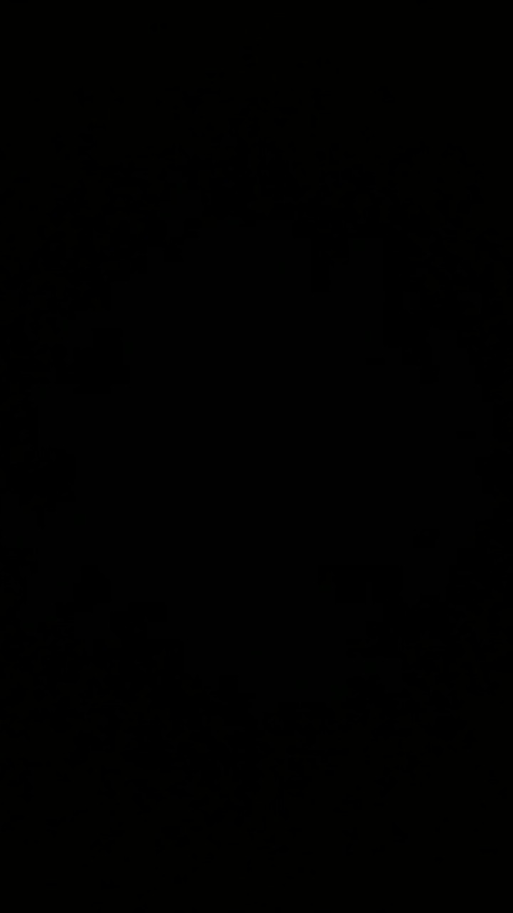 Parfum Star Light Sophie Paris