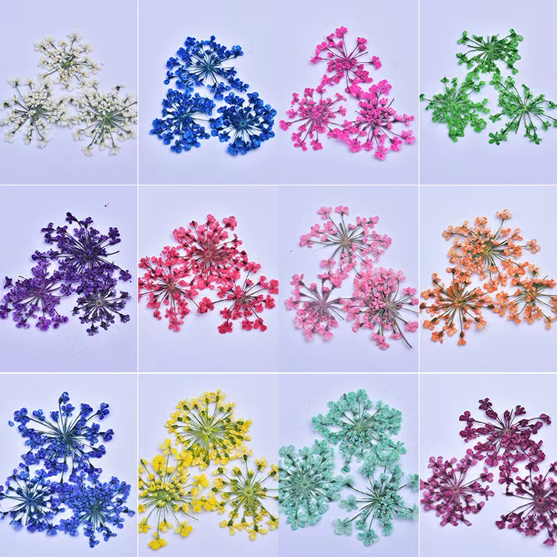 bunga nail art/bunga kering nailart /flower nails dried flowers nail