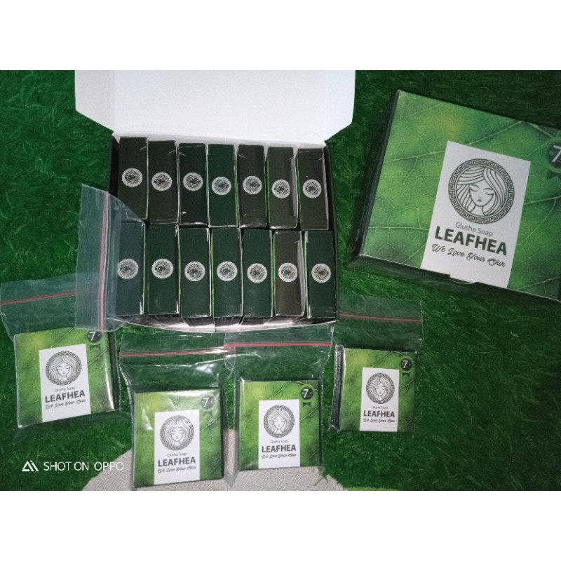 leafhea join member 1box leafhea