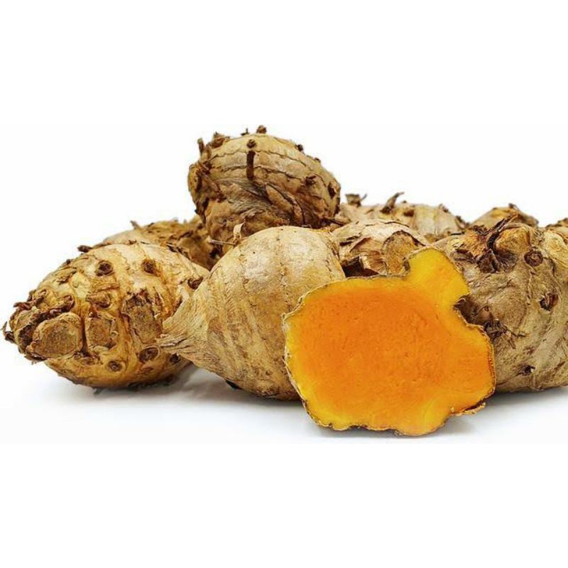 

Temulawak/Curcuma zanthorrhiza