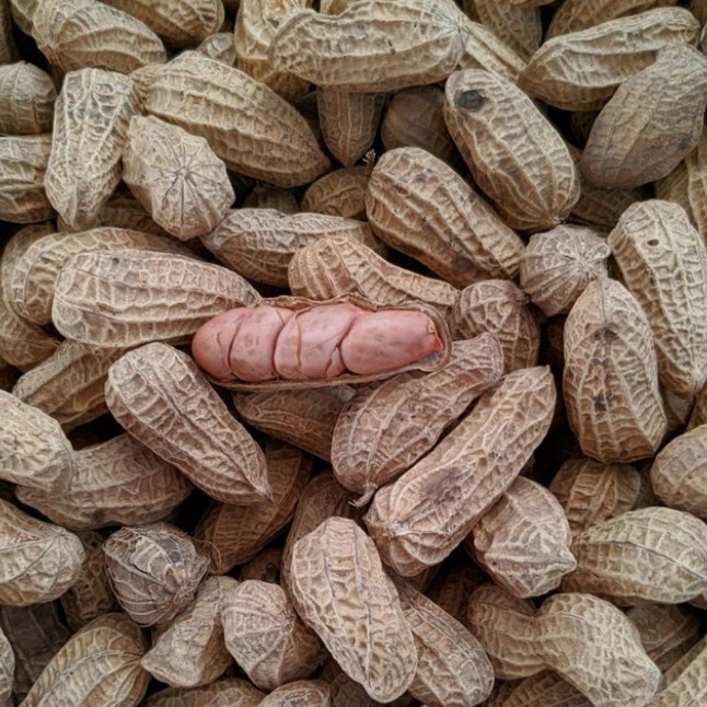 

KACANG TANAH SANGRAI Murah Snack Grosir Kiloan