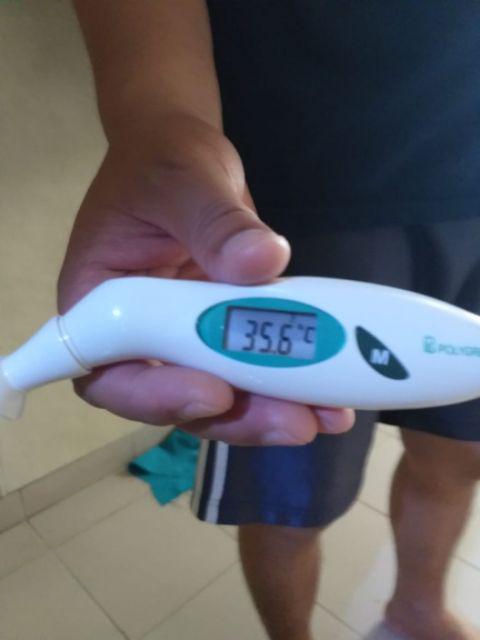 Berisi 500 Biji Benih Bonsai Kawista Batu / Kawista Kerikil Siap Semai