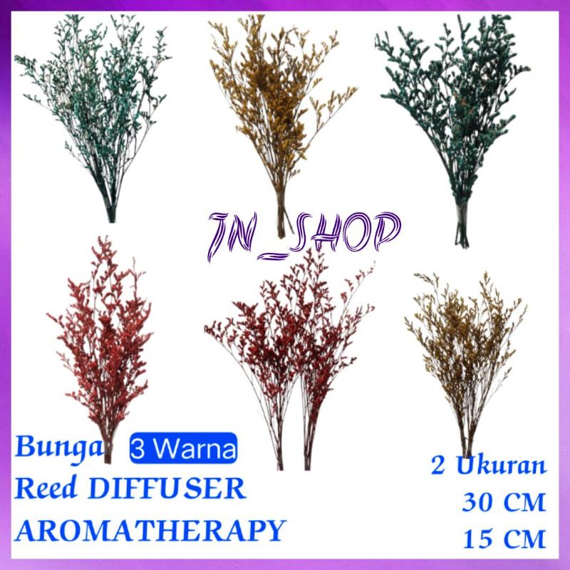 Bunga Kering Asli Untuk Aromatherapi Reed Diffuser Pewangi Ruangan Bisa Untuk Hiasan Rumah Dekorasi Rumah Cafe Hotel