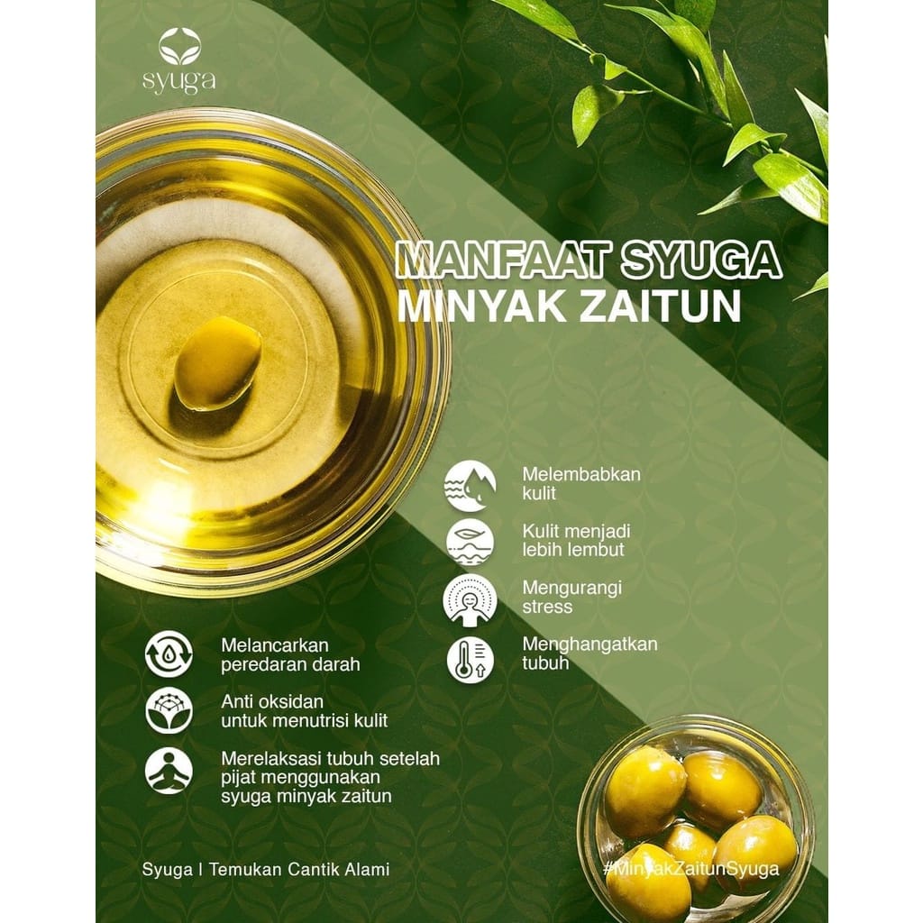 Syuga Minyak Zaitun + Vitamin E