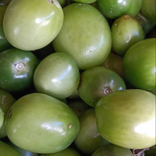 

Tomat Ijo 1/2 kg (Beli sekilo lebih hemat)