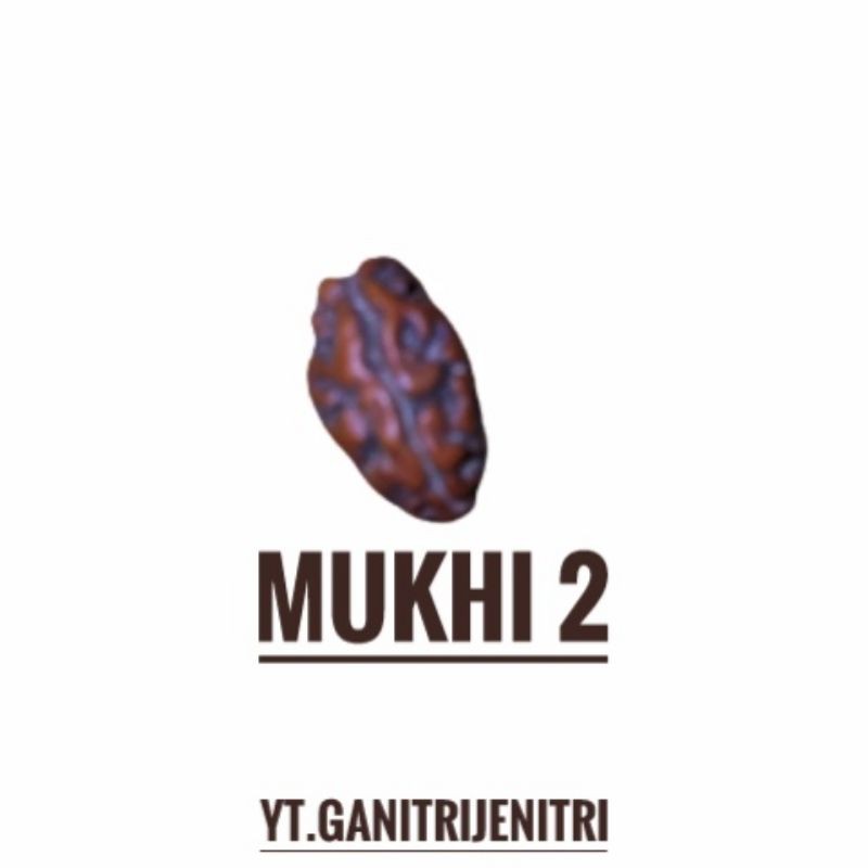 

JENITRI MUKHI 2