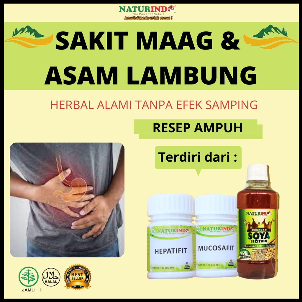 Jual Obat Herbal Asam Lambung Dan Maag Magh Gerd Kronis Sakit Perut ...