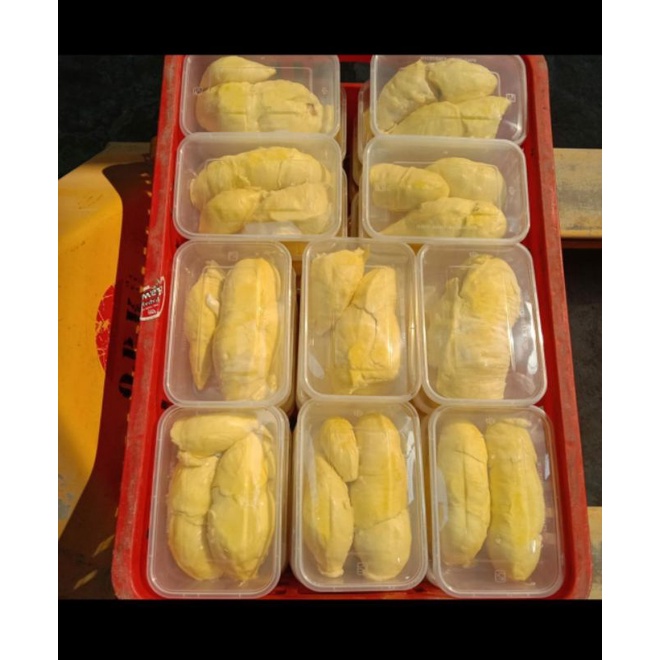 

durian Montong palu parigi