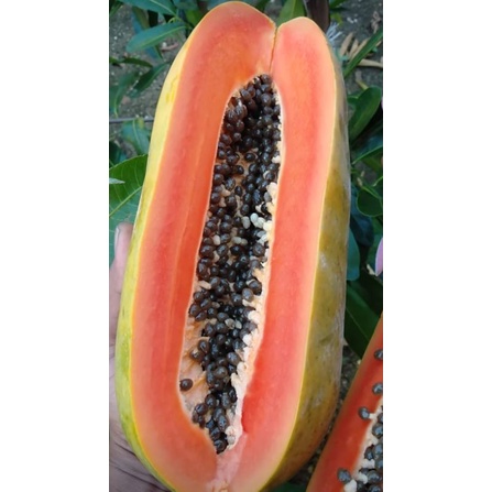 

pepaya California 2kg