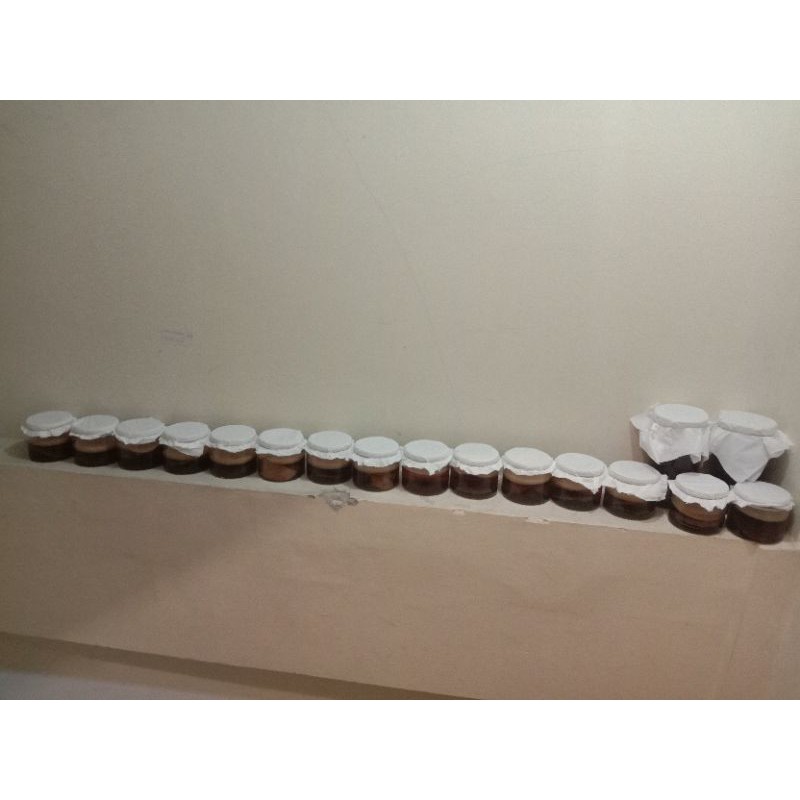 

RB22 bibit SCOBY kombucha/jamur dipo
