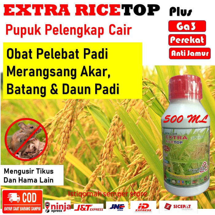 RICETOP Obat Pelebat Padi - Ricetop Extra Green Pupuk Penyubur Padi - RICETOP Pupuk Pelebat & Perang