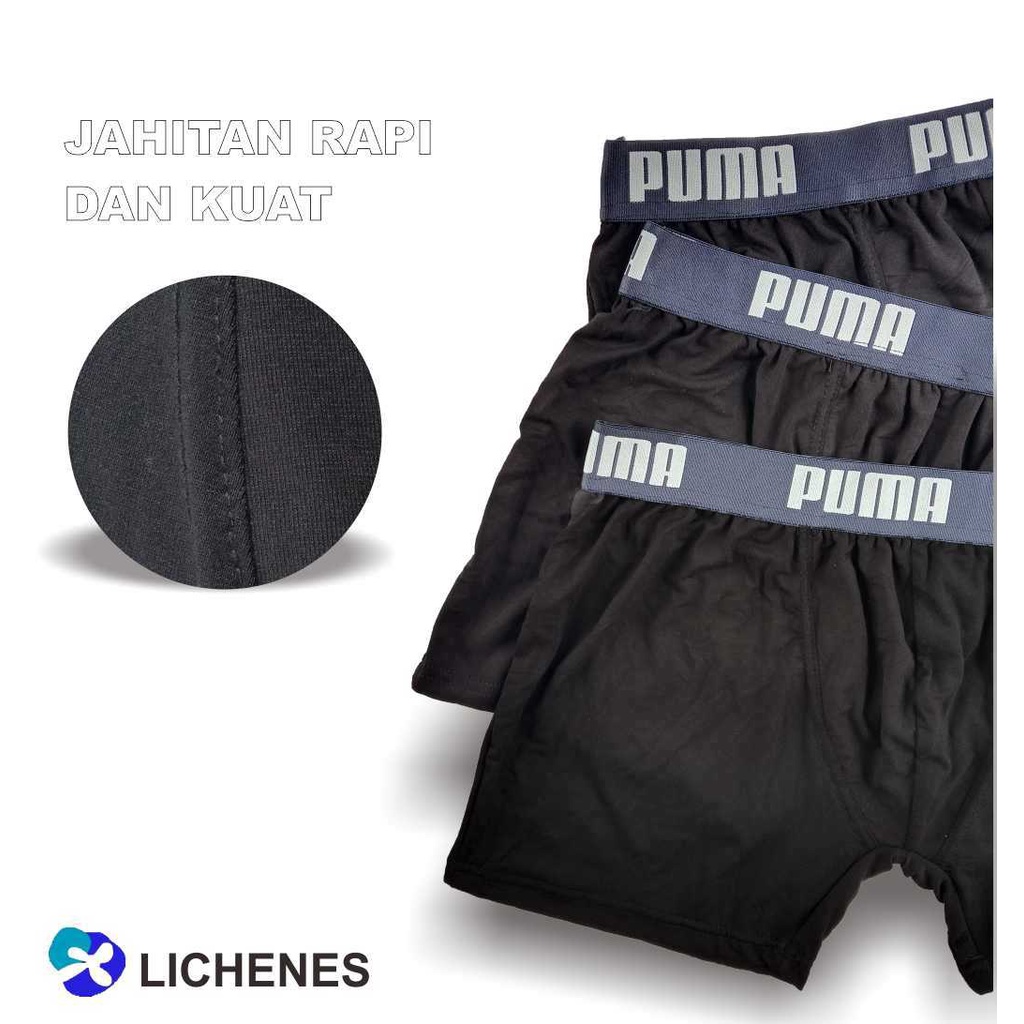 Celana Dalam Pria Boxer Underwear (paket isi 5) Random