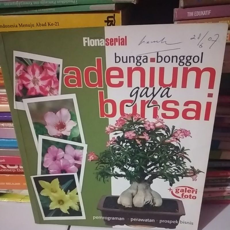 Adenium gaya bonsai