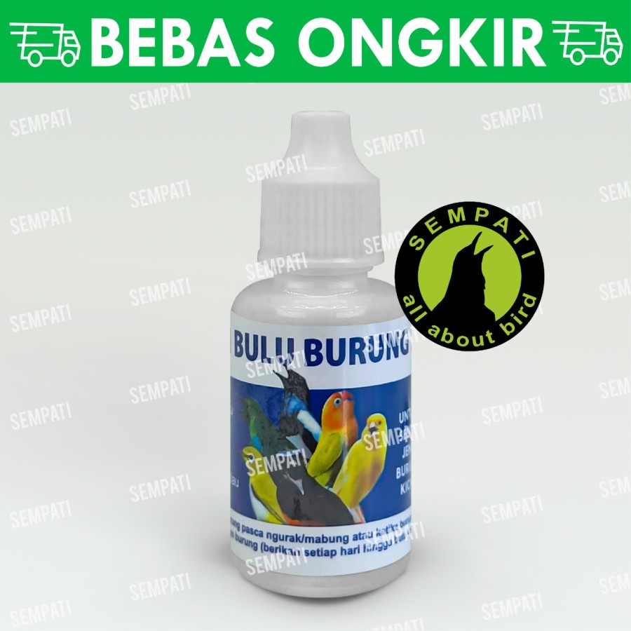 OBAT PENUMBUH BULU BURUNG ATASI BULU RONTOK PATAH MABUNG BERMASALAH
