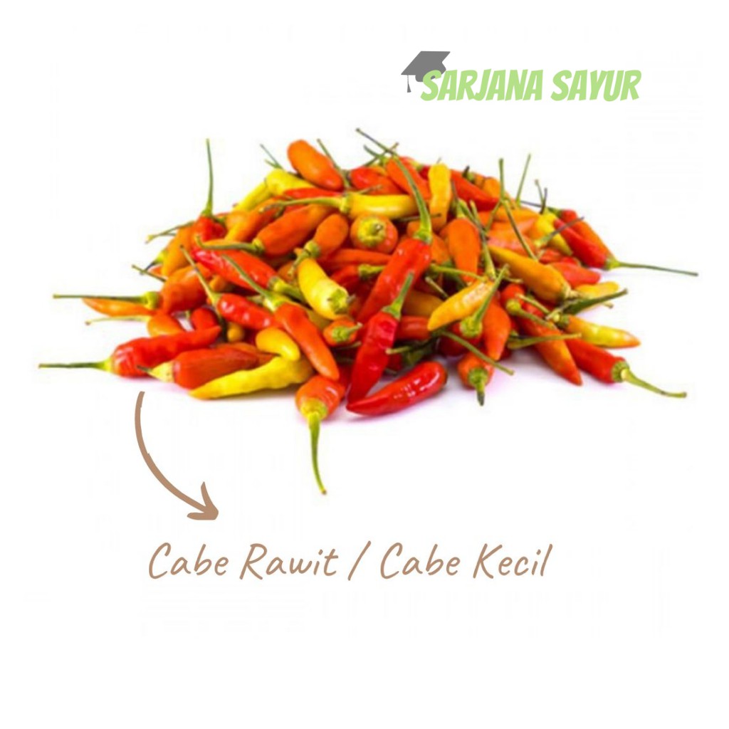 

Cabe Rawit Segar / Sarjana Sayur