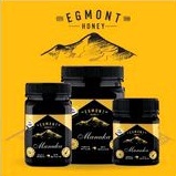 

Egmont manuka honey umf 23 + 500g