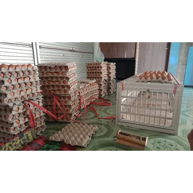 

RAJA TELUR LOMBOK