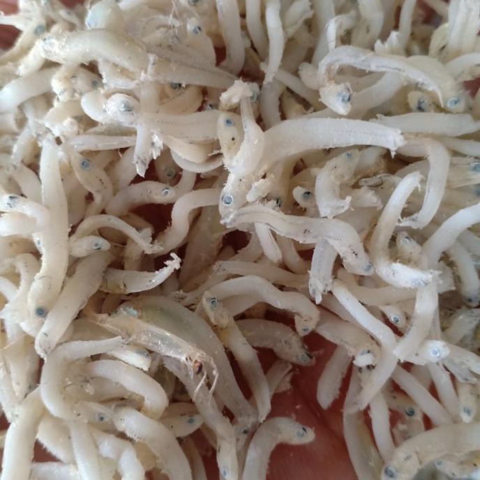 

[COD] teri Medan kasar 1 kg [COD]