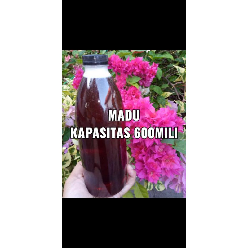 

Madu asli Melifera