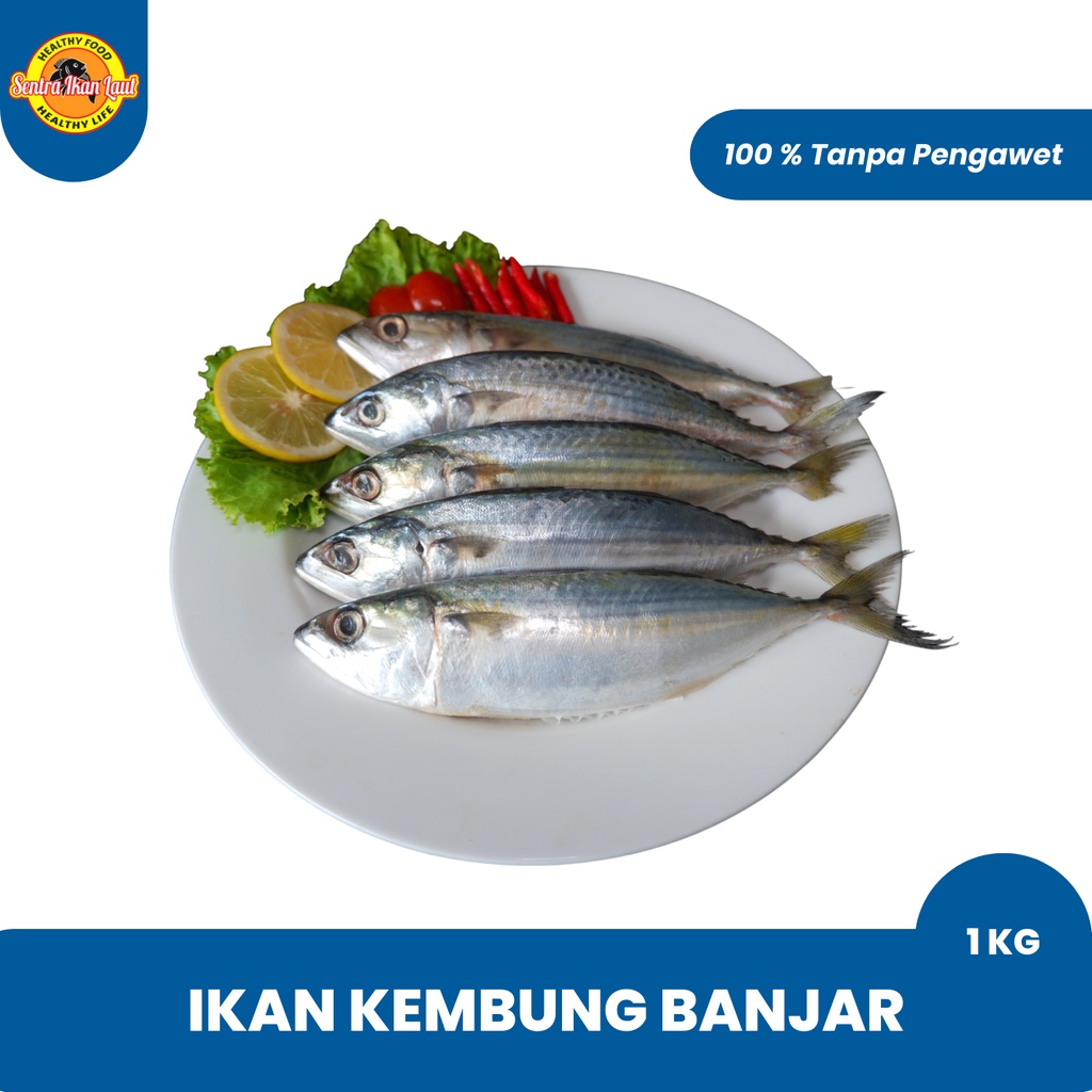 

Ikan Kembung Banjar Laut Utuh Segar Frozen 500 gram 1 Kg