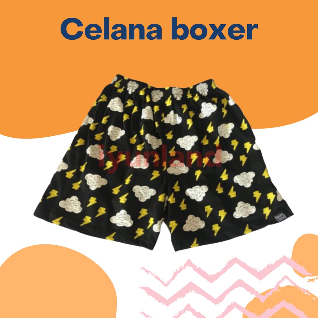 Iyunland boxer lucu keren