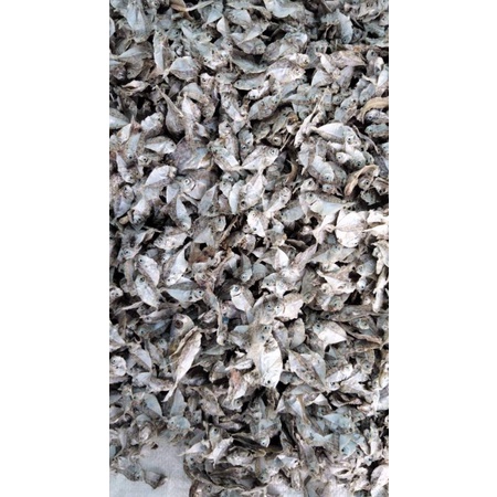 

pusat ikan petek kering segar 1kg