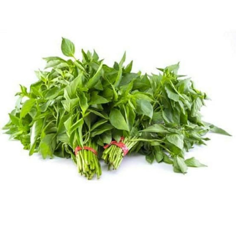 

Daun Kemangi Segar Fresh.