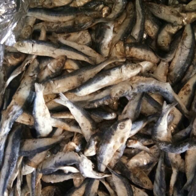 

Japuh Kecil/Lesi 1kg