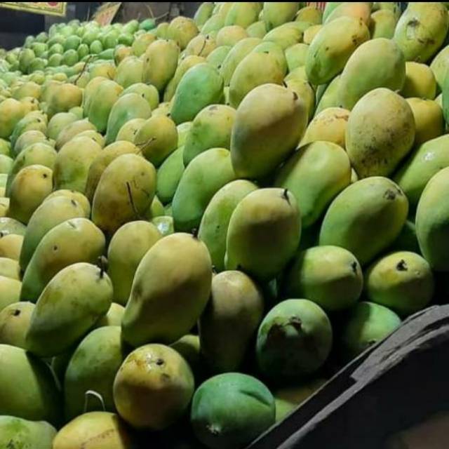 

Mangga harum manis