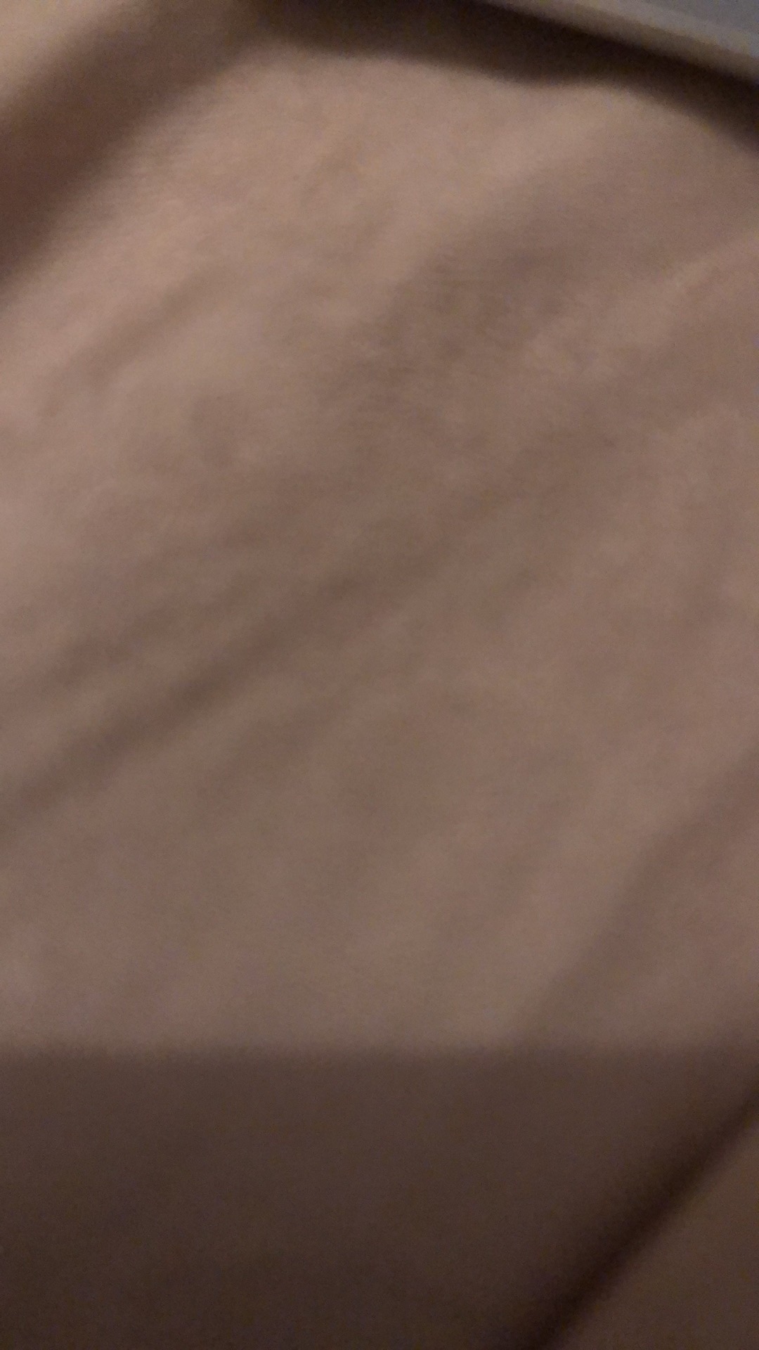 Impatiens Dwarf Baby Orange 10 Biji (benih Biji Bibit Tanaman Bunga)