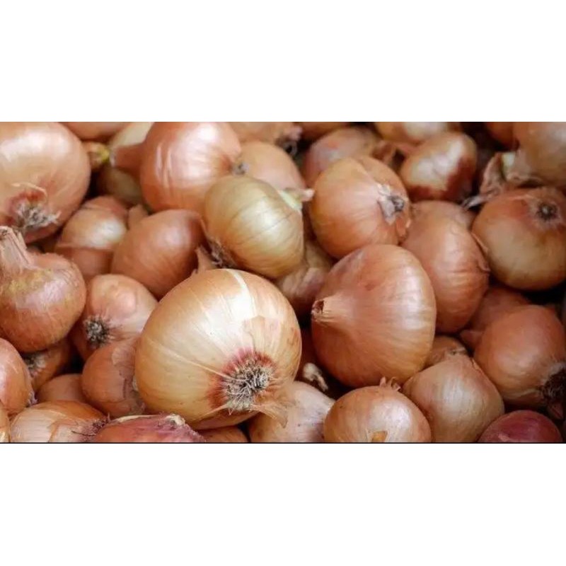 

bawang bombay