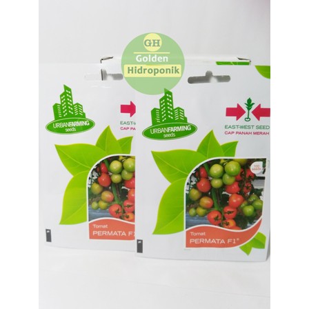 Benih bibit tomat PERMATA F1 - Panah merah