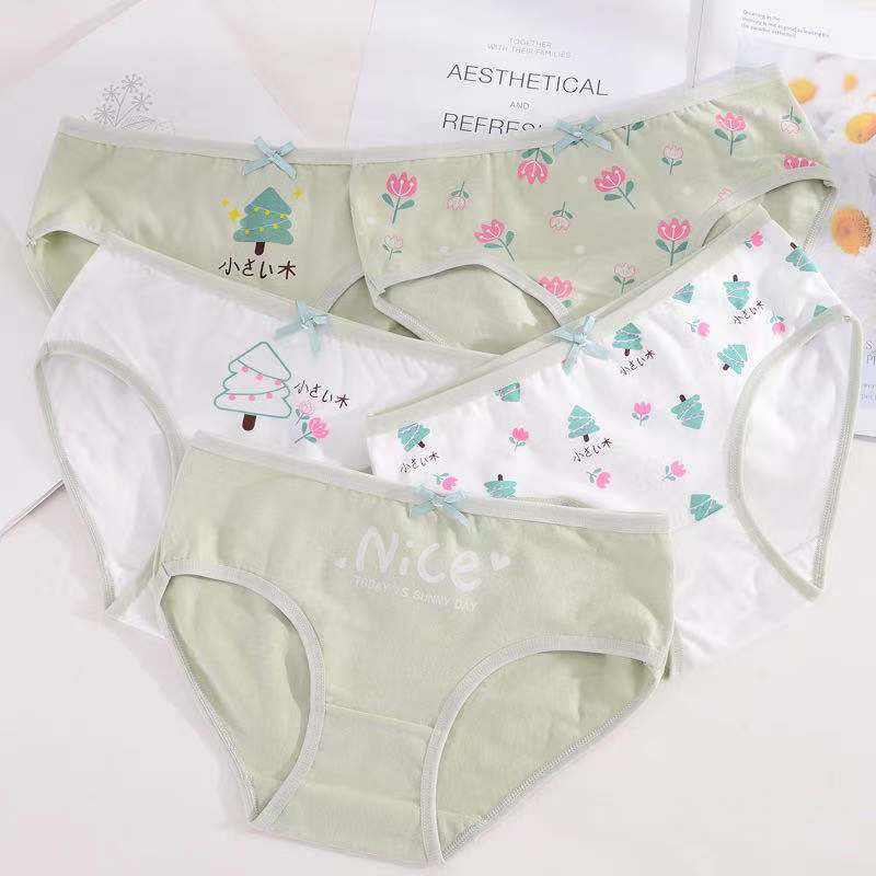 Vs - Jepang CD imut fashion Undies Celana Dalam Wanita Polos high quality katun import CD C79