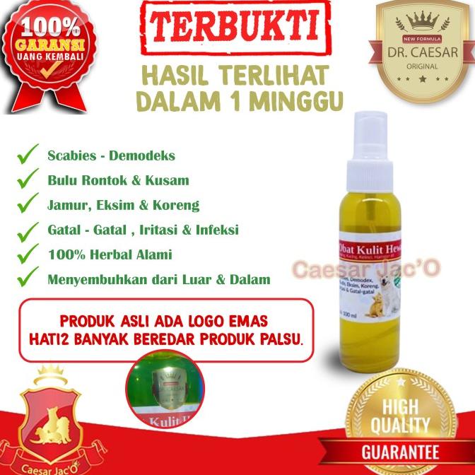 DISKON PERAWATAN ANJING SPRAY OBAT KULIT SCABIES DEMODEX JAMUR KUTU ANJING KUCING HEWAN 100ML BERKUA