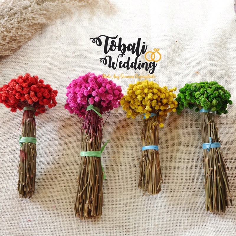 BUNGA HALUS BUNGA KERING WARNA