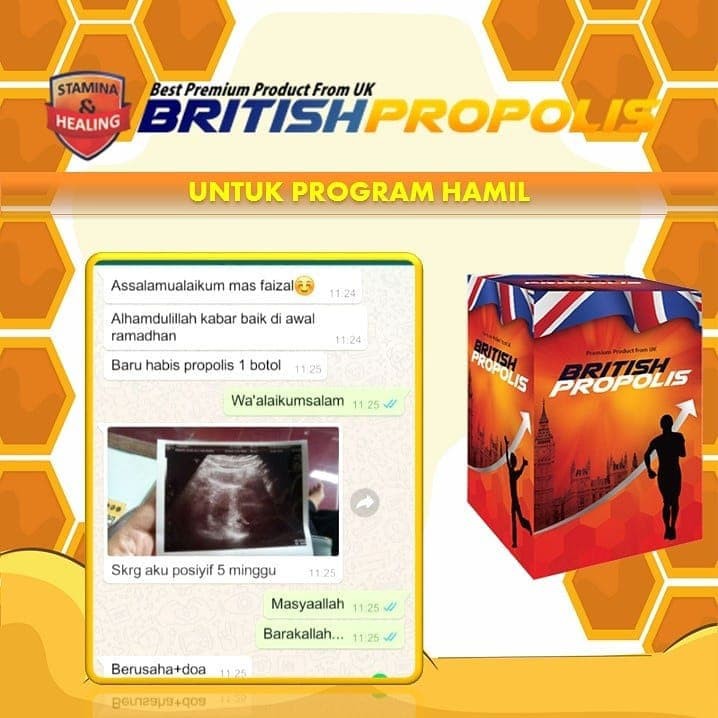 BRITISH PROPOLIS PROPOLIS MURNI 100% ASLI OBAT HERBAL DIABETES ASAMURAT KOLESTEROL BY IPPHO SANTOSA