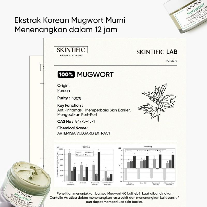 (BISA COD) SKINTIFIC MUGWORT ANTI PORES &amp; ACNE CLAY MASK