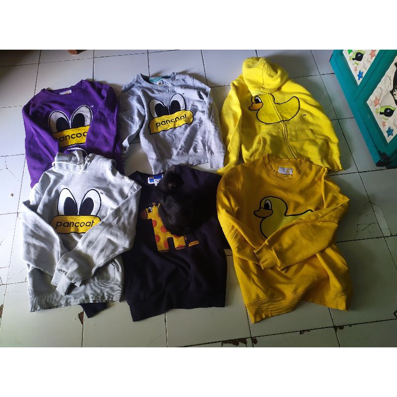 pancoat borongan siapa cepat dia dapat