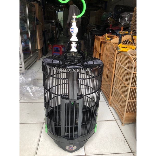 Sangkar Anis Ebod Klasik