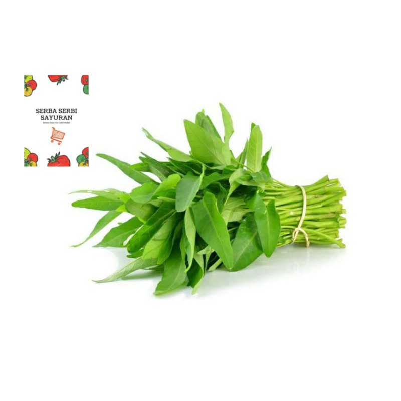 

Kangkung Super Segar